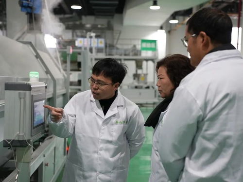 屏山茶葉新技術(shù)培訓(xùn)引領(lǐng)產(chǎn)業(yè)升級，信息技術(shù)咨詢服務(wù)助力提質(zhì)增效