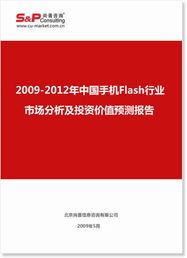 北京北緯通信科技股份公司手機Flash采購與信息技術(shù)咨詢服務整合研究報告