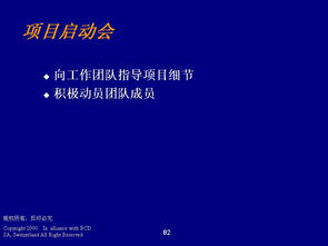 德勤管理咨詢 程序、技能與ERP100企業(yè)信息化知識門戶